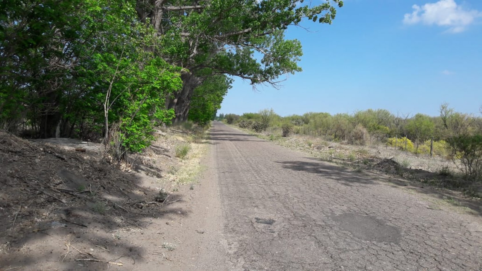 VENDO Finca de 8 hectareas en Las Aguaditas. Casa, frutales Ciruela D'agen,  Durazno, Uvas. San Rafael. Mendoza. 