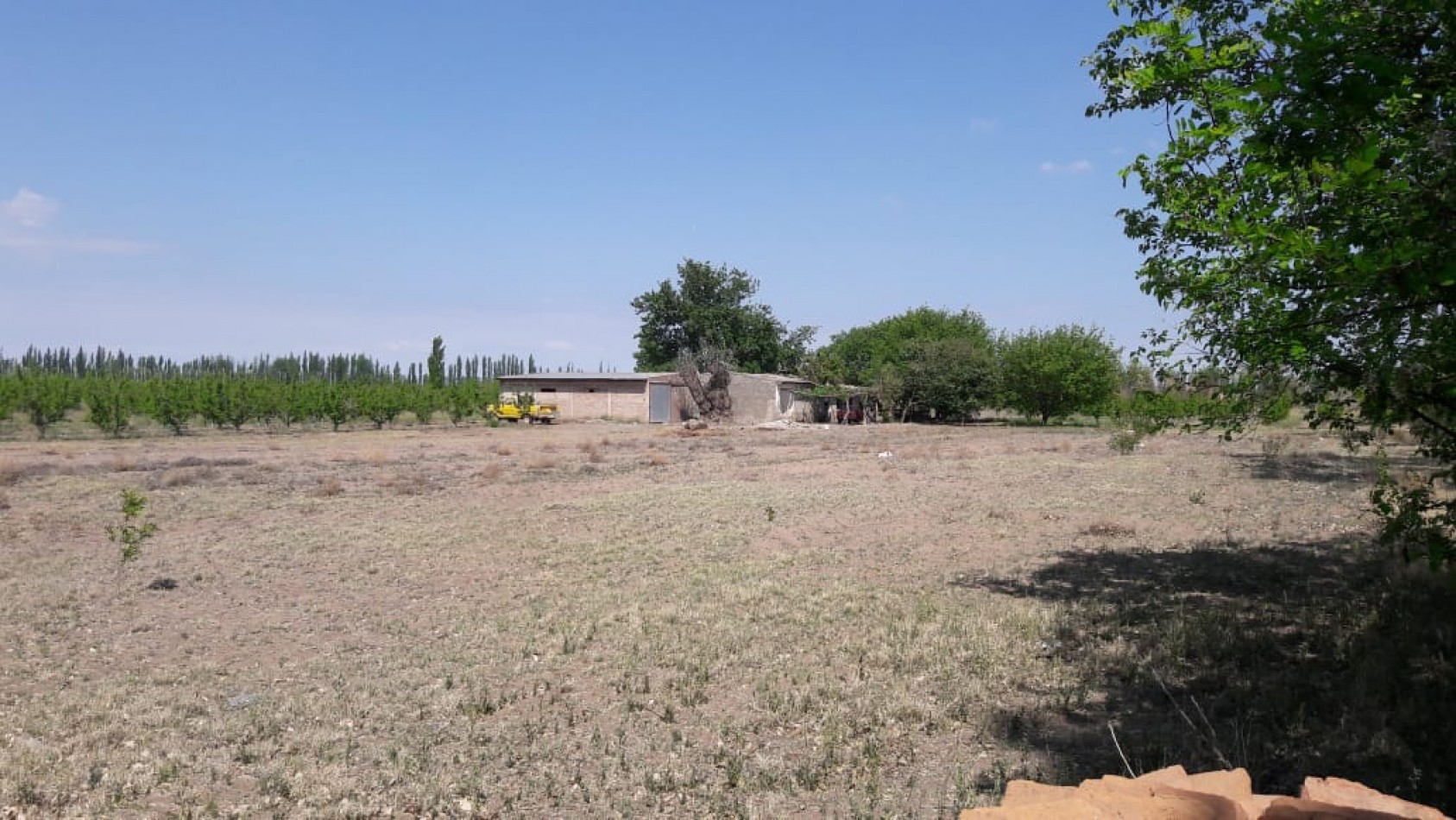 VENDO Finca de 8 hectareas en Las Aguaditas. Casa, frutales Ciruela D'agen,  Durazno, Uvas. San Rafael. Mendoza. 