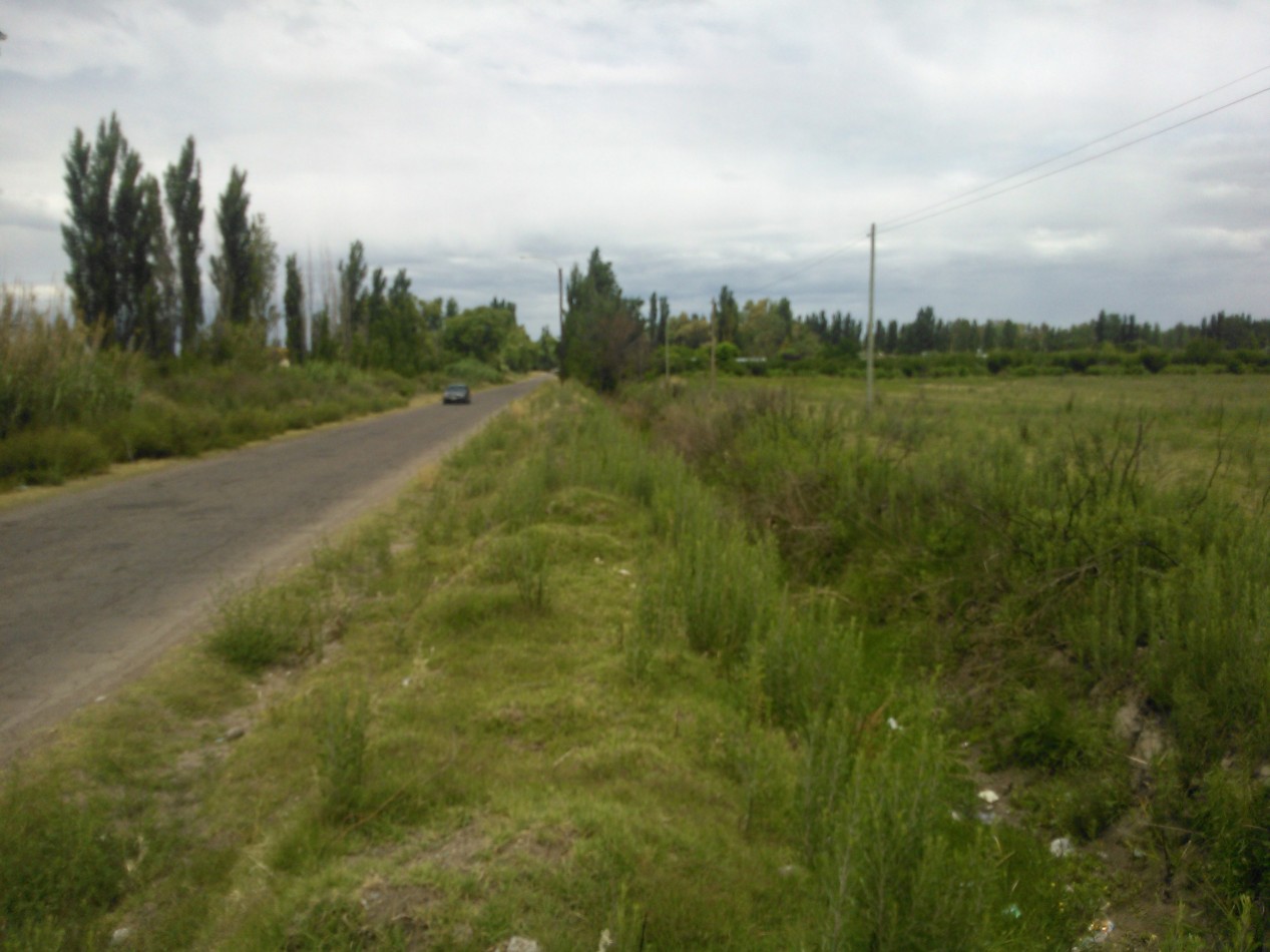 Terreno o lote 2,4 has o 24.000 m2 en la calle el TOLEDANO las Paredes. 39.000 SAN RAFAEL