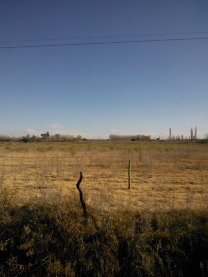 PERMUTA Terreno o lote 2,4 has o 24.000 m2 en la calle el TOLEDANO las Paredes. San Rafael