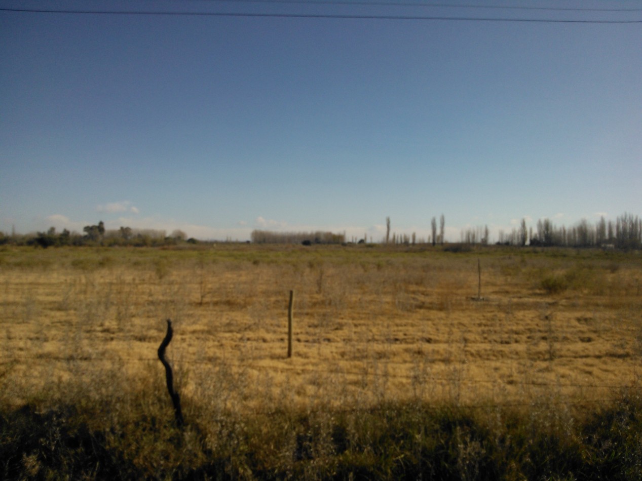 PERMUTA Terreno o lote 2,4 has o 24.000 m2 en la calle el TOLEDANO las Paredes. San Rafael