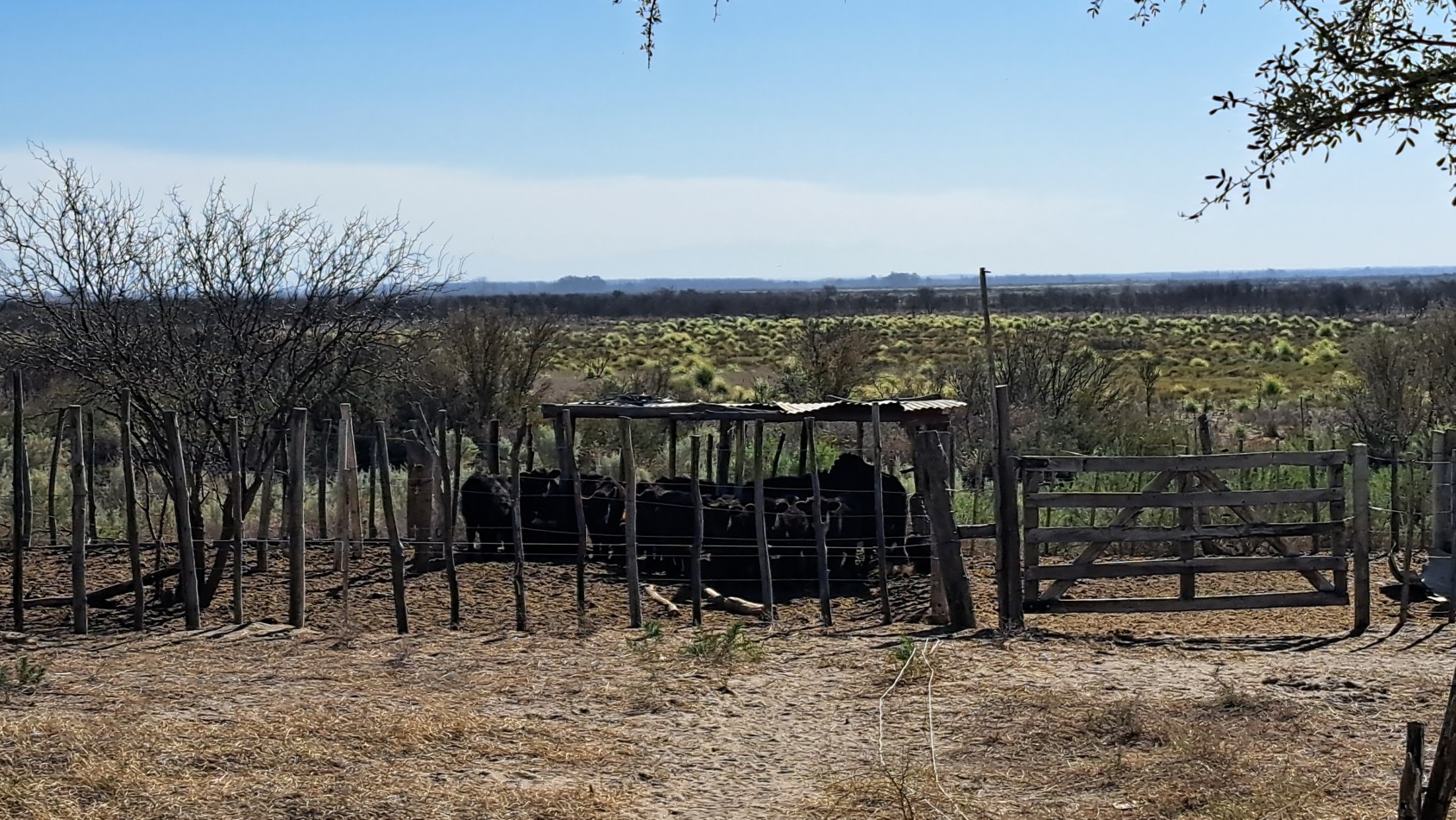 Vendo Finca de 200 has en Alto Algarrobal 18 km aprox. con Casa de San Rafael