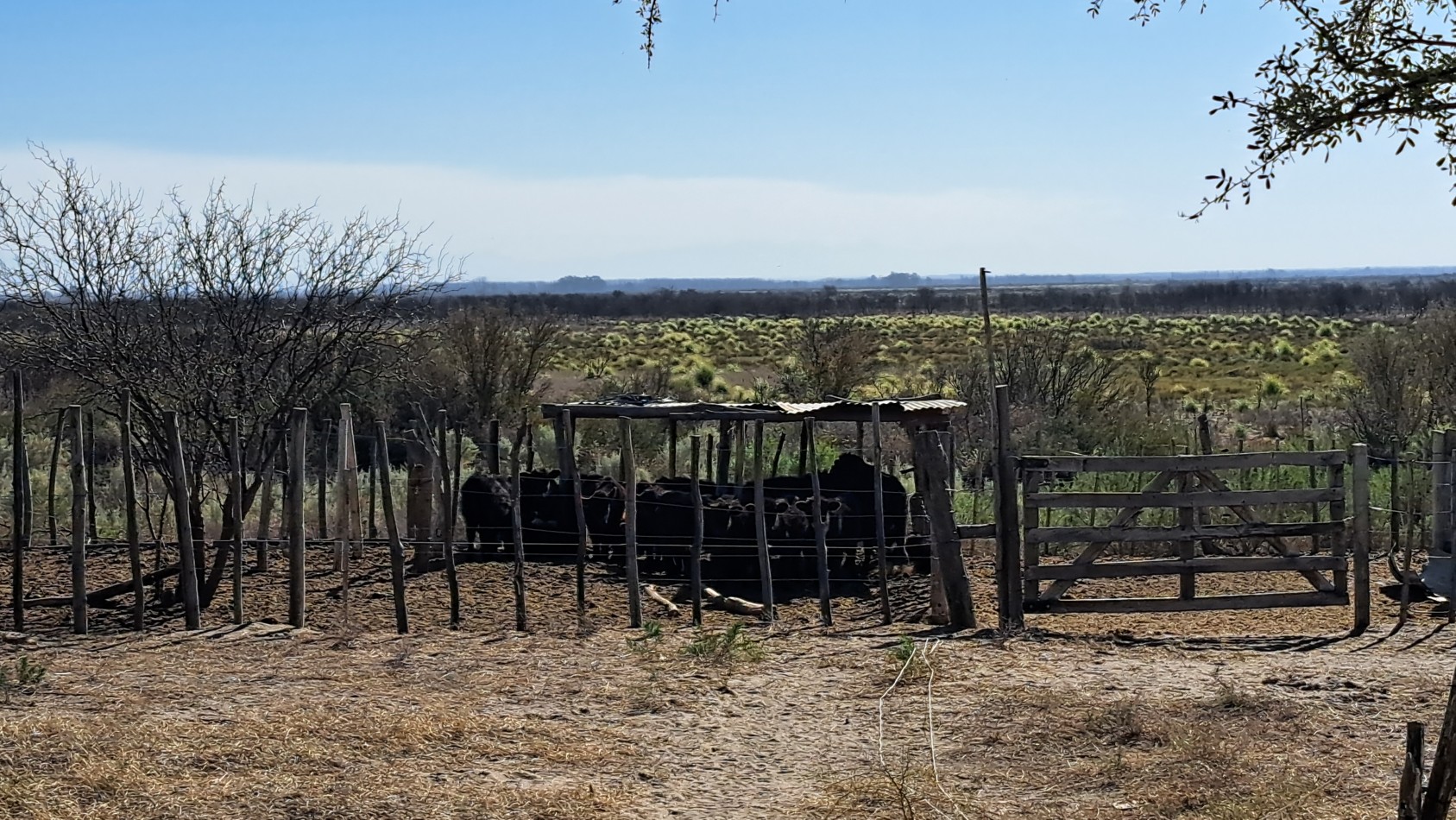 Vendo Finca de 200 has en Alto Algarrobal 18 km aprox. con Casa de San Rafael 