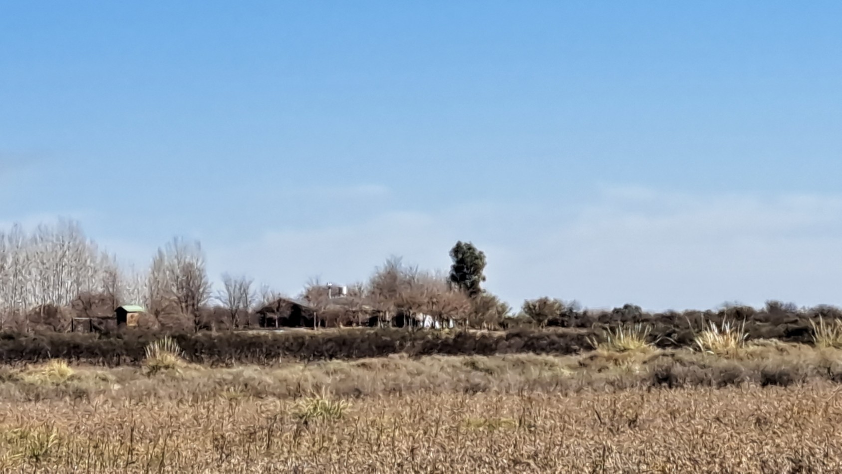 Vendo Finca de 200 has en Alto Algarrobal 18 km aprox. con Casa de San Rafael 