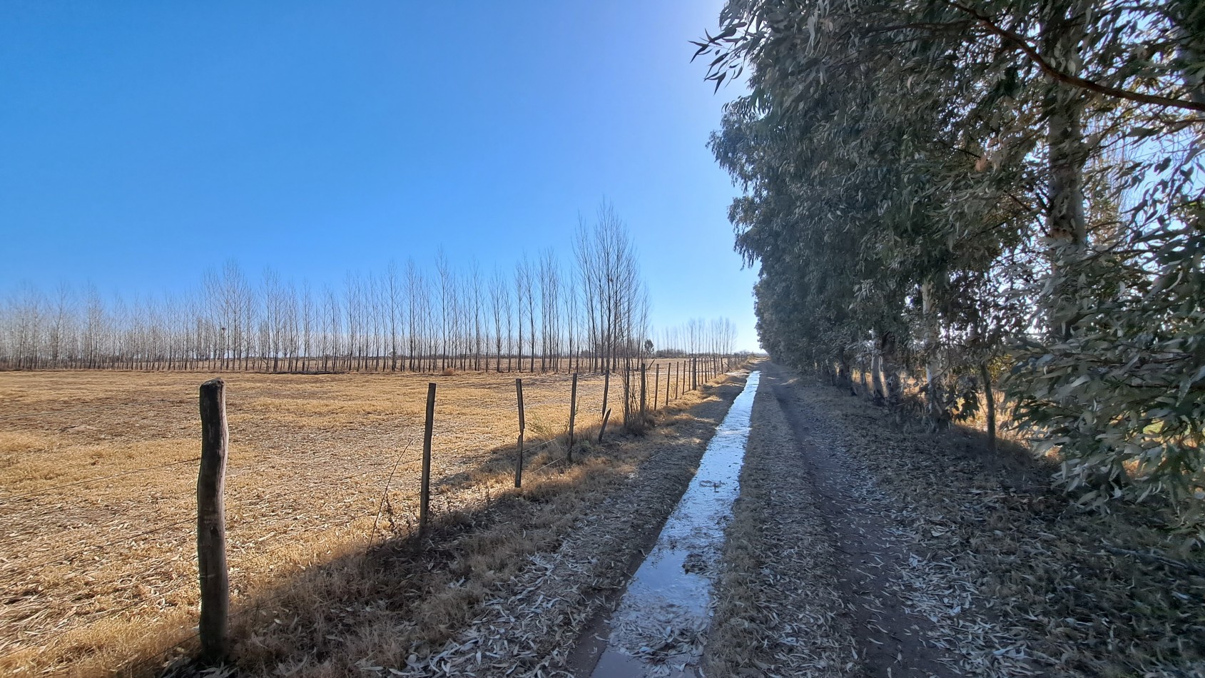 Vendo Finca de 200 has en Alto Algarrobal 18 km aprox. con Casa de San Rafael 