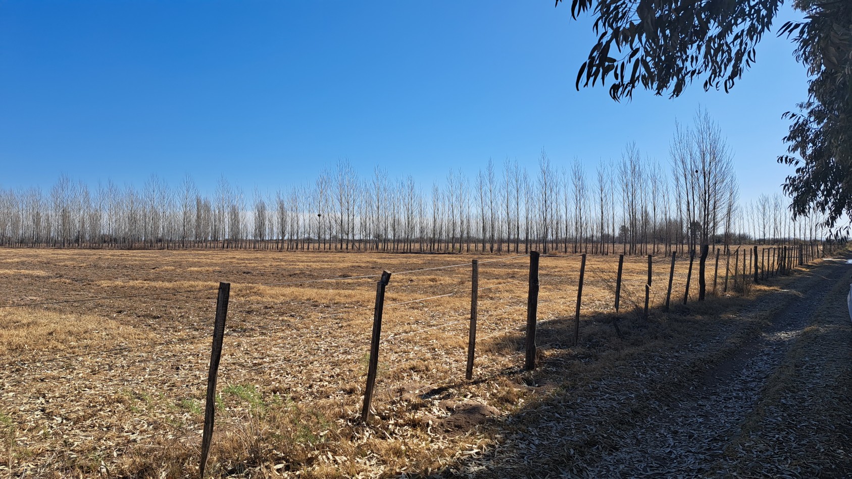 Vendo Finca de 200 has en Alto Algarrobal 18 km aprox. con Casa de San Rafael 