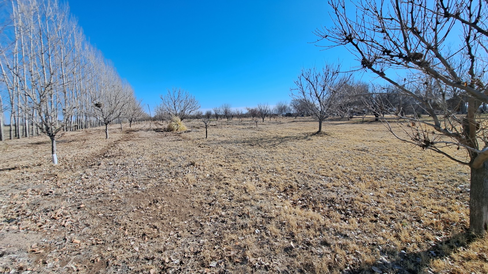 Vendo Finca de 200 has en Alto Algarrobal 18 km aprox. con Casa de San Rafael 