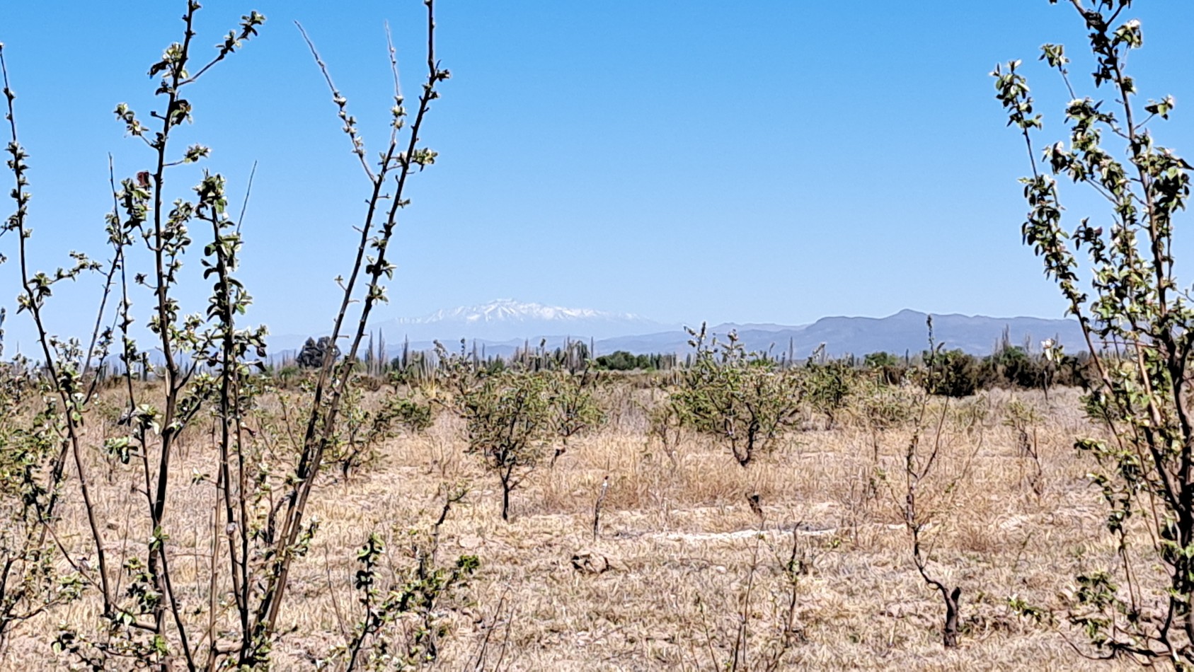 Vendo finca 4 has. zona 4 km Salto de las Rosa. Cuenta con casa 2 dorm.  a terminar. San Rafael.