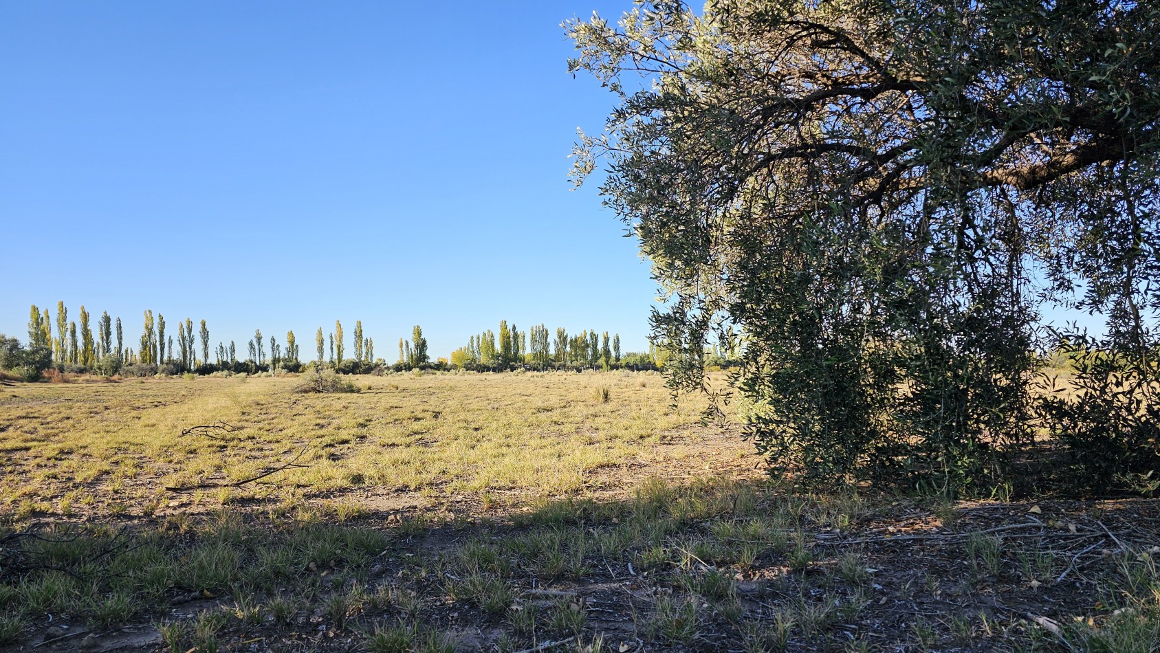 Gran terreno o lote de 2 has en San Rafael ideal emprendimiento 