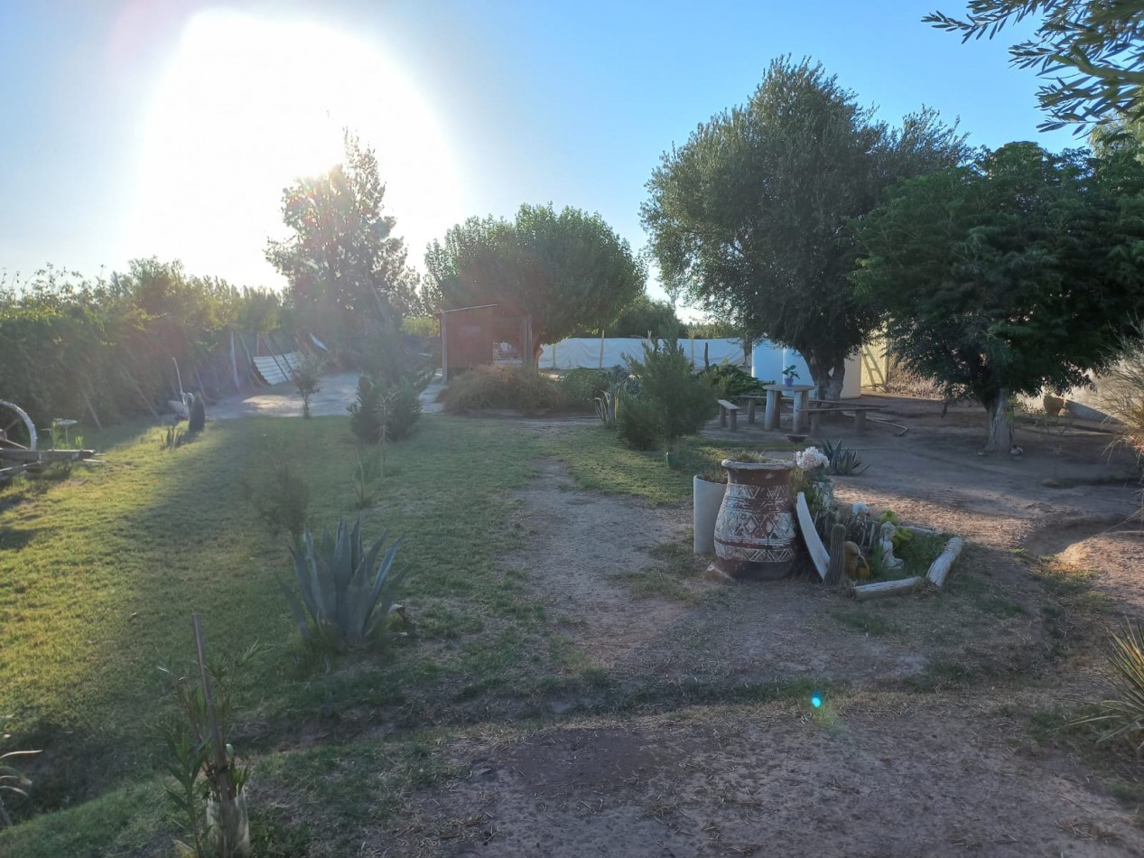 Vendo Finca o Chacra de 25 Has con Casa en Jaime Prats - Ideal Produccion, Turismo o Inversion. San Rafael. Mendoza