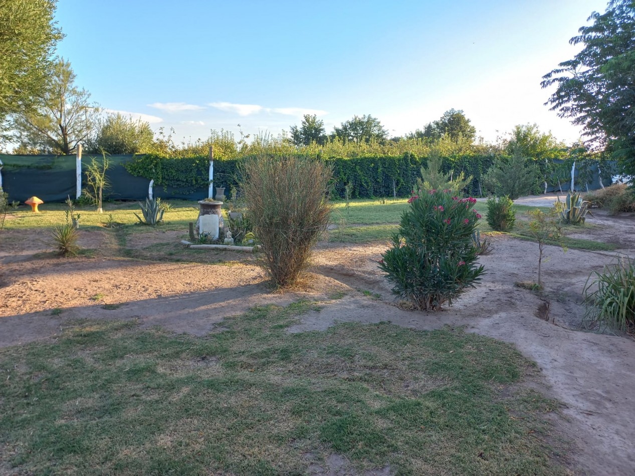 Vendo Finca o Chacra de 25 Has con Casa en Jaime Prats - Ideal Produccion, Turismo o Inversion. San Rafael. Mendoza