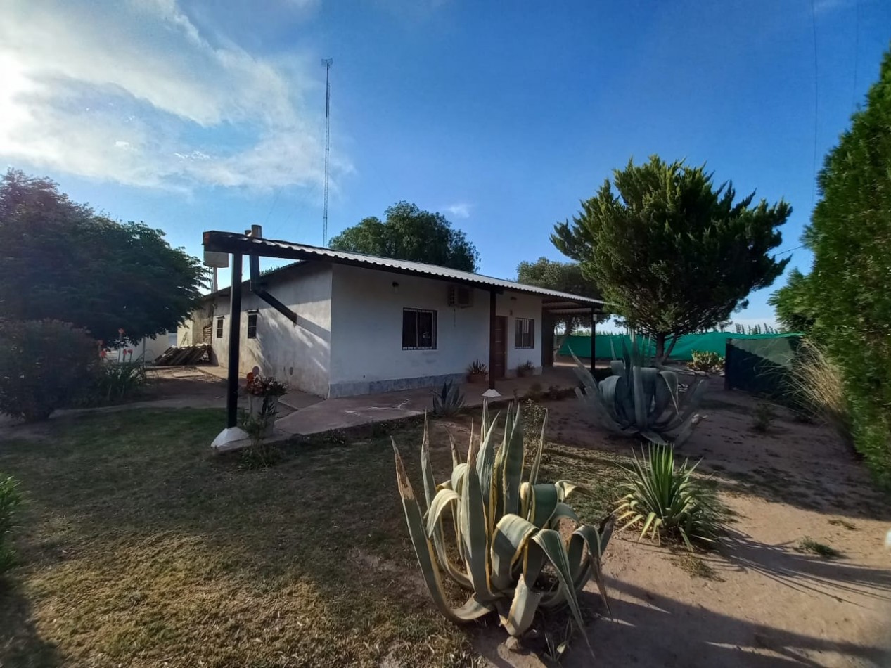 Vendo Finca o Chacra de 25 Has con Casa en Jaime Prats - Ideal Produccion, Turismo o Inversion. San Rafael. Mendoza