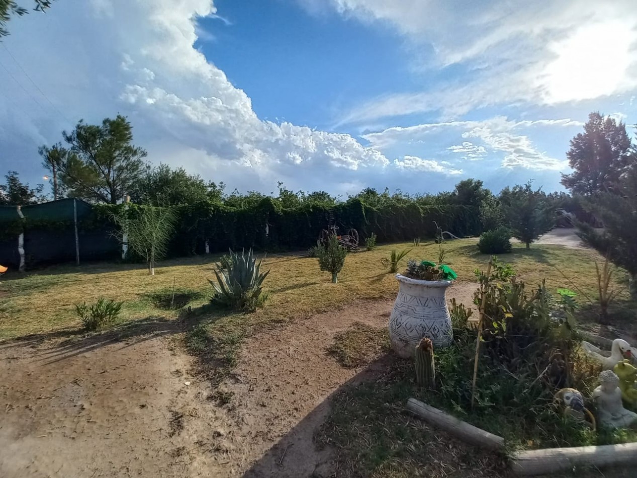 Vendo Finca o Chacra de 25 Has con Casa en Jaime Prats - Ideal Produccion, Turismo o Inversion. San Rafael. Mendoza