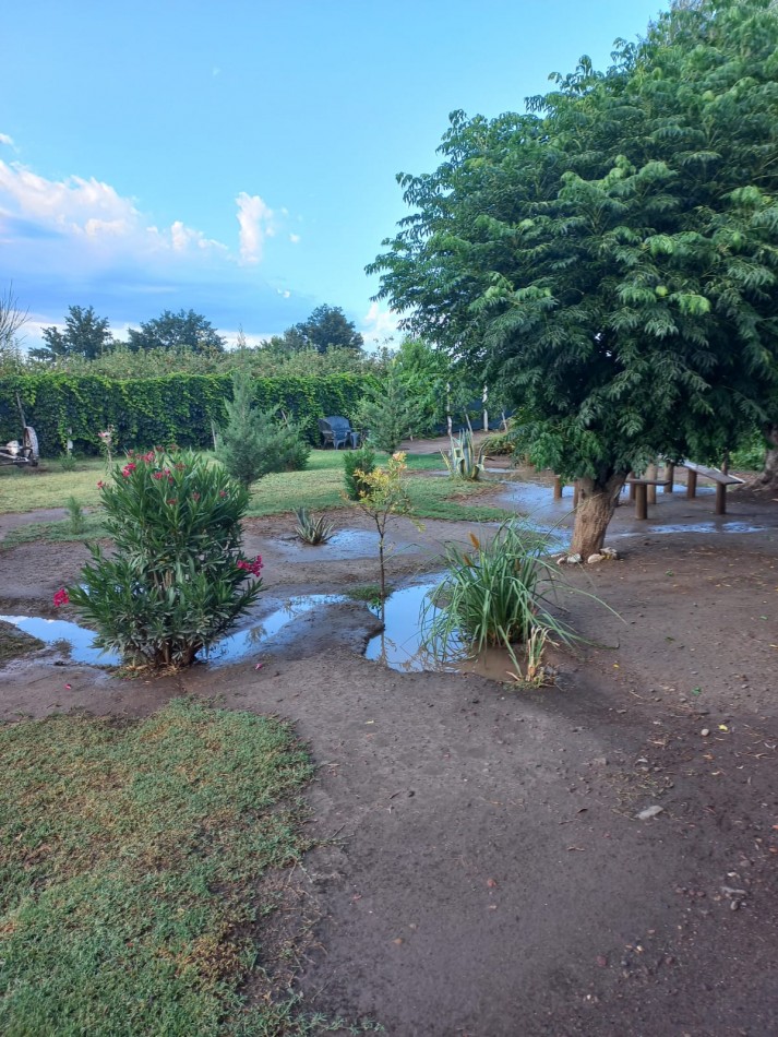 Vendo Finca o Chacra de 25 Has con Casa en Jaime Prats - Ideal Produccion, Turismo o Inversion. San Rafael. Mendoza