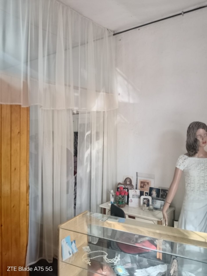 Vendo casa pleno centro de San Rafael, Mendoza. Con una casa y 2 locales.