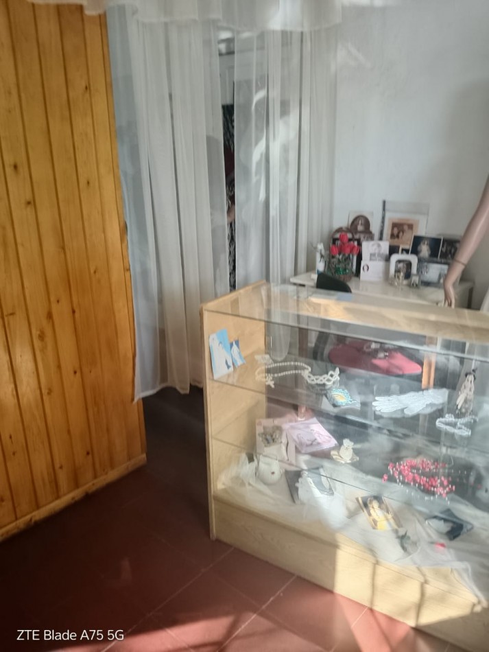 Vendo casa pleno centro de San Rafael, Mendoza. Con una casa y 2 locales.