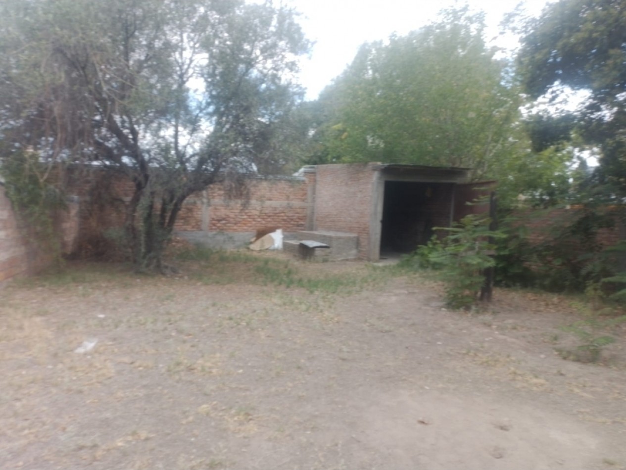 Venta de 3 Locales Comerciales Sobre Avenida Moreno con Galpon y Garaje, cuenta con 427 m² - San Rafael