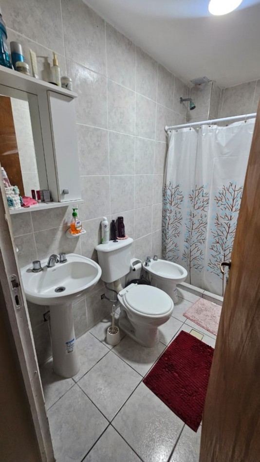 Propiedad con 6 departamentos - Zona Los Sauces y Balloffet, San Rafael  Excelente oportunidad de inversion en una zona estrategica de San Rafael, Mendoza.