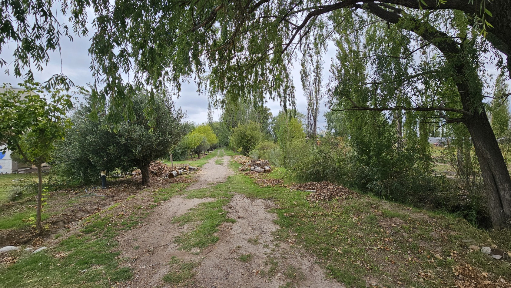 VENDO COMPLEJO DE CABAÑAS equiadaso Casas  2 pilets- 25 DE MAYO, SAN RAFAEL, MENDOZA