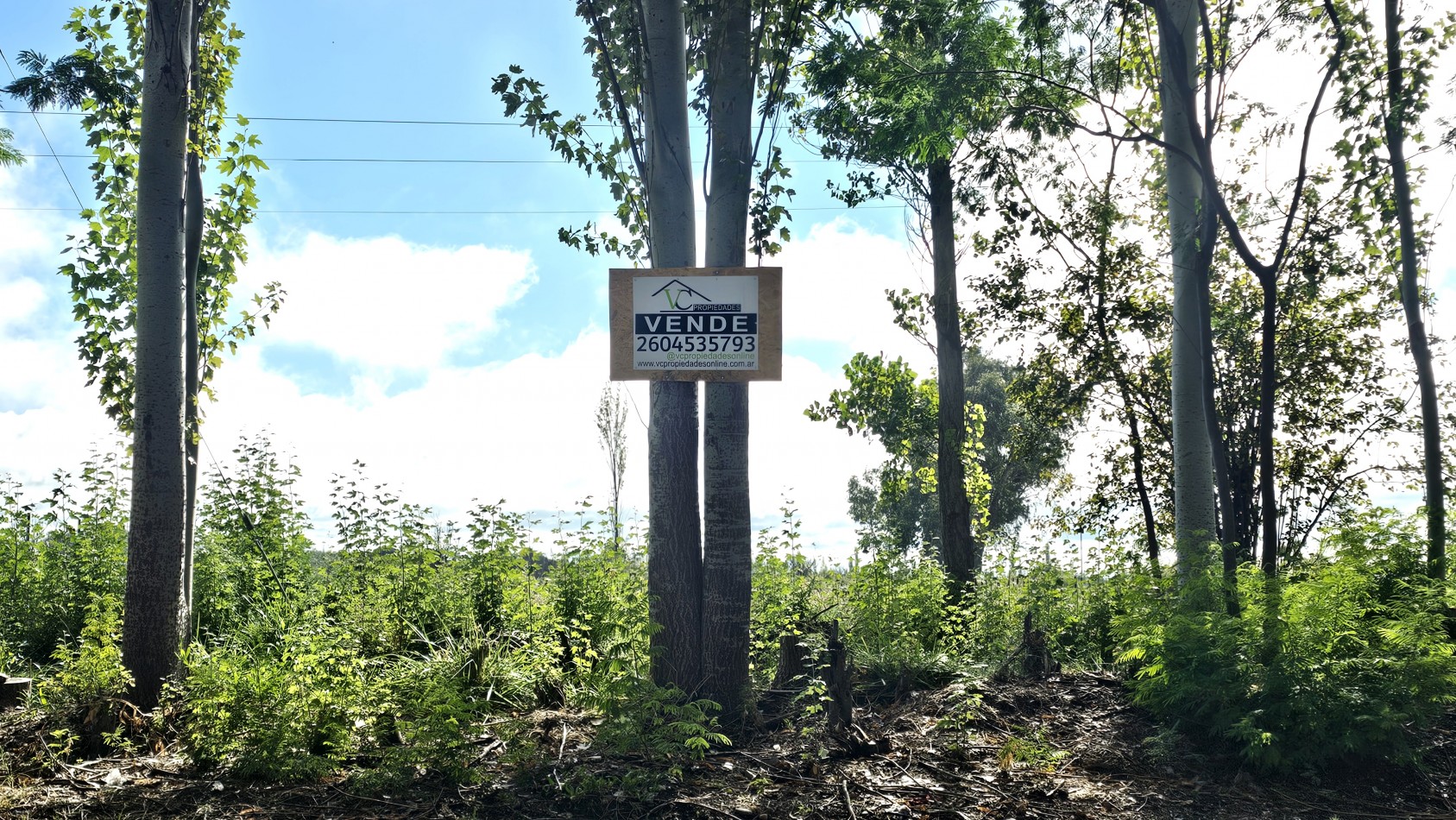 Vendo lote Amplio terreno en calle Costanzo San Rafael 2150 m²