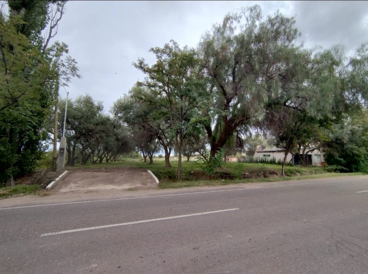 Vendo Lote 7400 m² con Avance pilastras, puente, pozo, olivos. Sonbre Ejercito de los Andes Rama Caida. Ejercito de los Andes. San Rafael. Mendoza 
