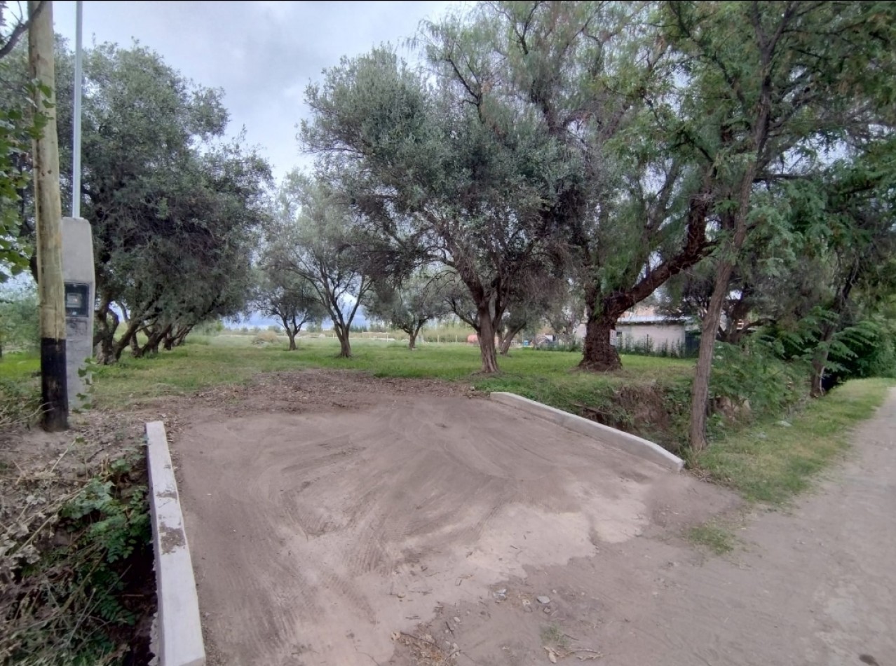 Vendo Lote 7400 m² con Avance pilastras, puente, pozo, olivos. Sonbre Ejercito de los Andes Rama Caida. Ejercito de los Andes. San Rafael. Mendoza 