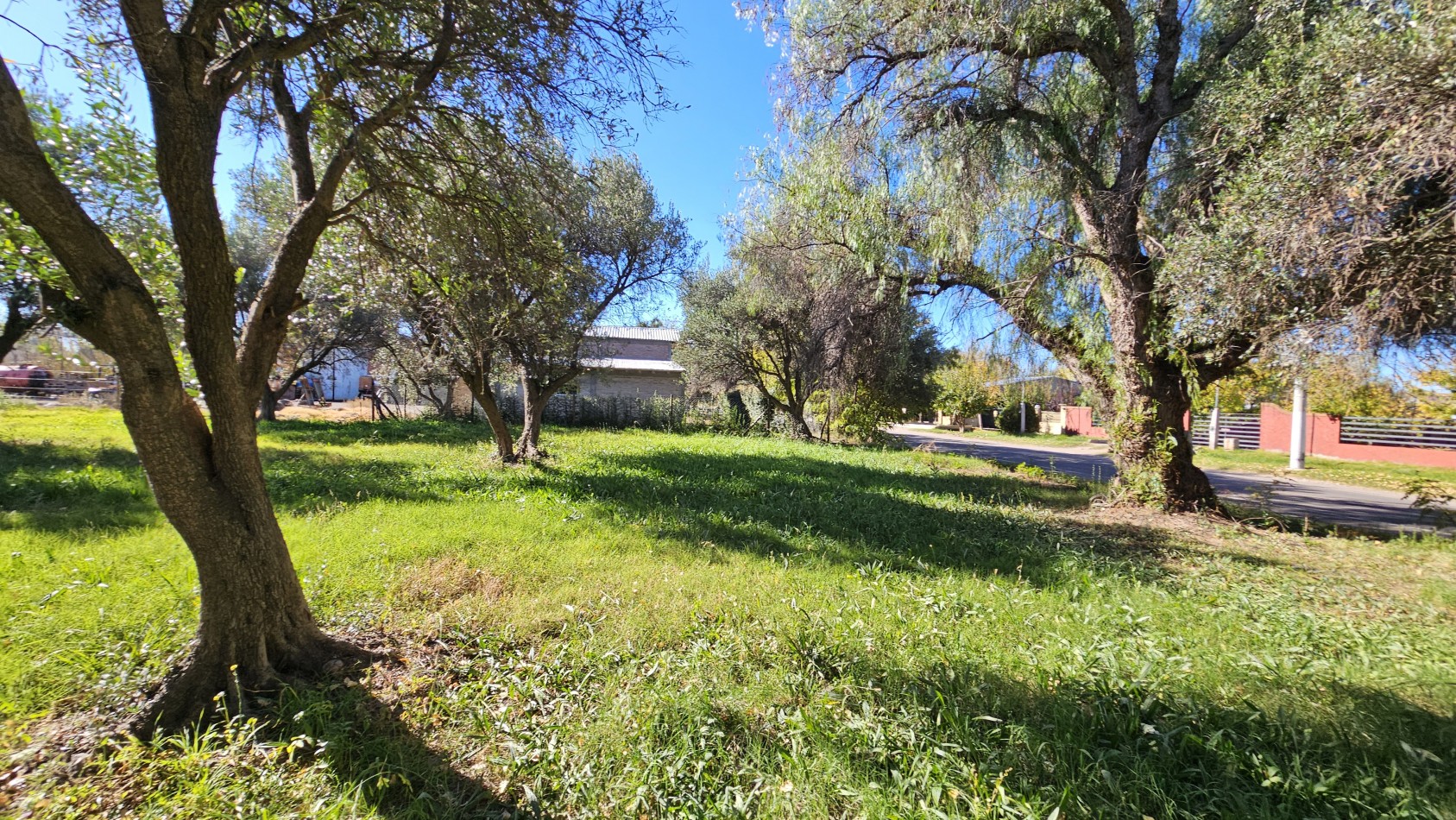 Vendo Lote 7400 m² con Avance pilastras, puente, pozo, olivos. Sonbre Ejercito de los Andes Rama Caida. Ejercito de los Andes. San Rafael. Mendoza 