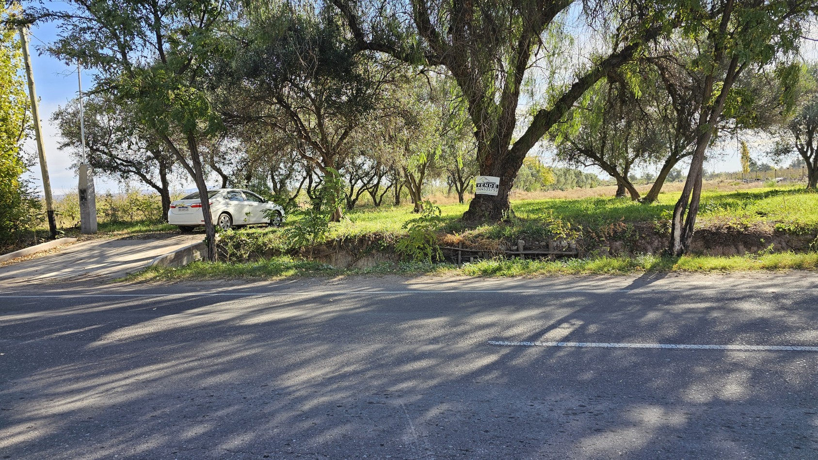 Vendo Lote 7400 m² con Avance pilastras, puente, pozo, olivos. Sonbre Ejercito de los Andes Rama Caida. Ejercito de los Andes. San Rafael. Mendoza 