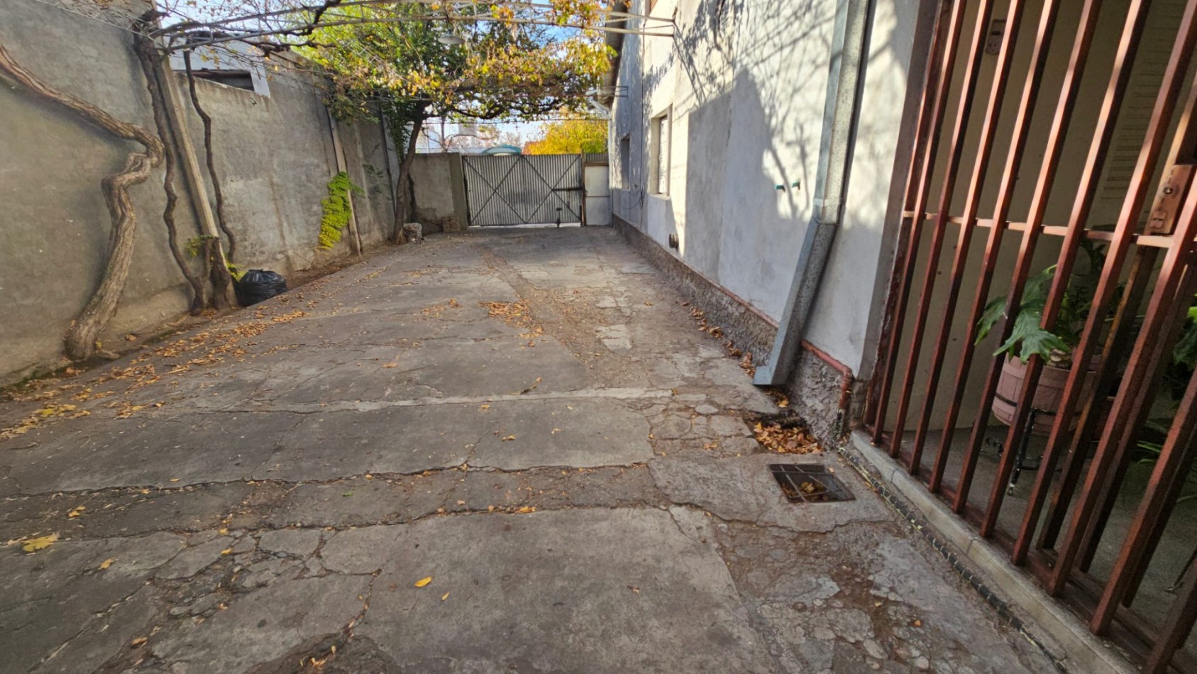 Vendo Casa, Galpon,  Tinglado en 800 m² OPORTUNIDAD EN ZONA CENTRICA - SAN RAFAEL, MENDOZA 
