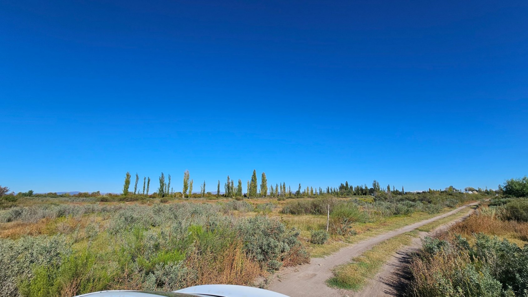 ¡EXCELENTE OPORTUNIDAD DE INVERSION EN SAN RAFAEL!  Se venden 4 hectareas ideales para loteo.