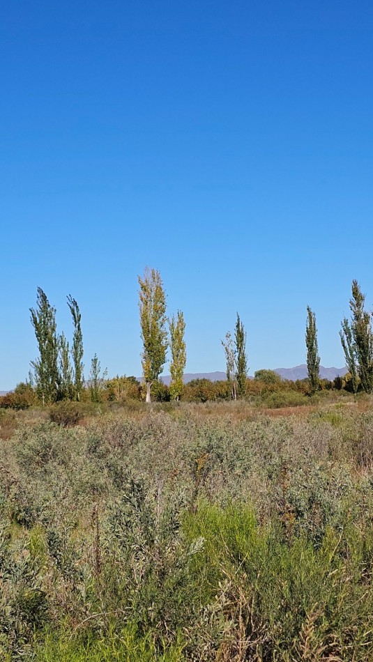 ¡EXCELENTE OPORTUNIDAD DE INVERSION EN SAN RAFAEL!  Se venden 4 hectareas ideales para loteo.