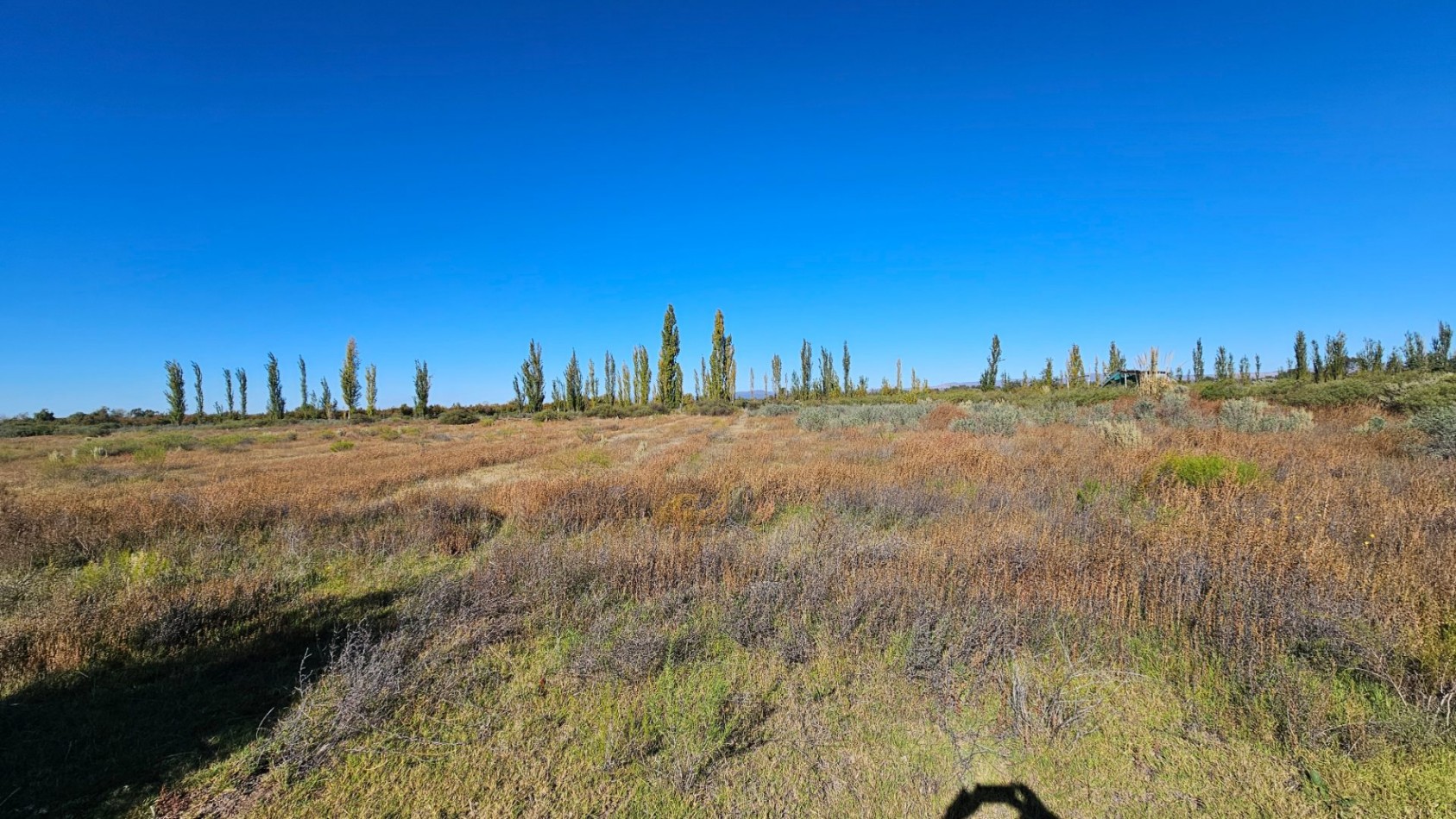 ¡EXCELENTE OPORTUNIDAD DE INVERSION EN SAN RAFAEL!  Se venden 4 hectareas ideales para loteo.