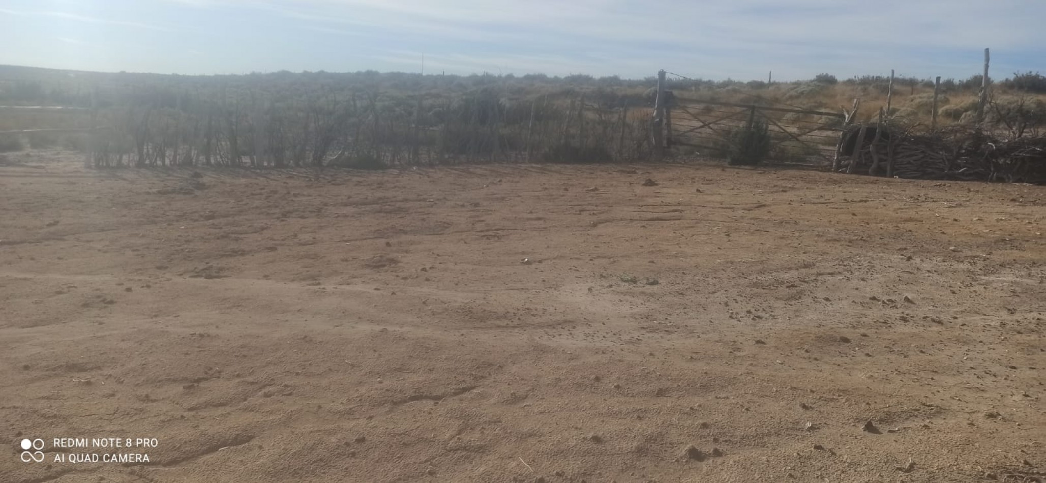 VENDO PUESTO DE 4 HECTAREAS EN LAGUNA LLANCANELO - MALARGUE, MENDOZA 