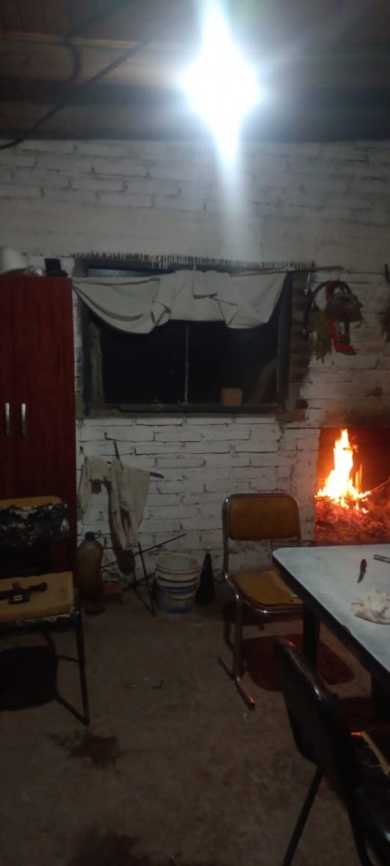 VENDO PUESTO DE 4 HECTAREAS EN LAGUNA LLANCANELO - MALARGUE, MENDOZA 