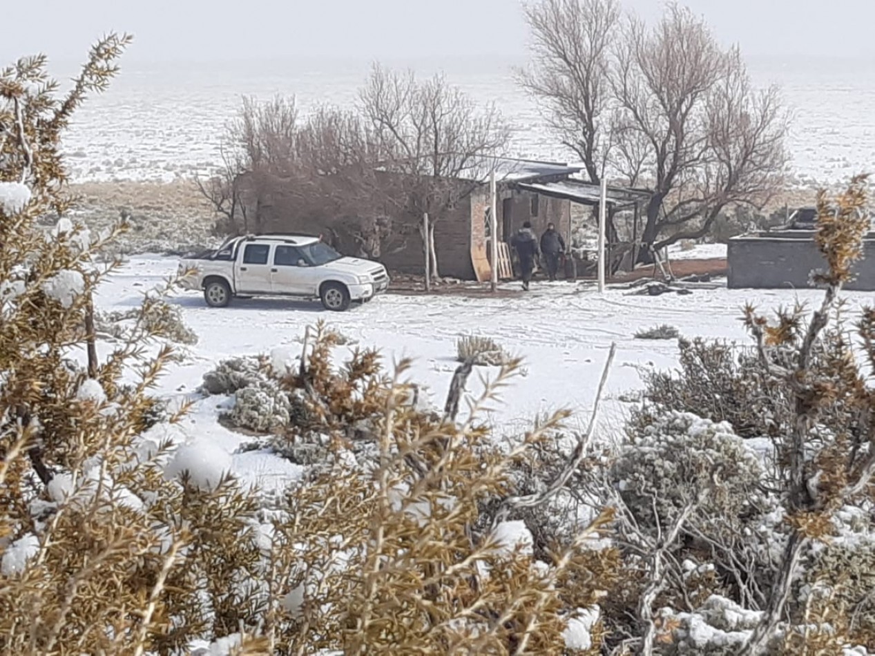 VENDO PUESTO DE 4 HECTAREAS EN LAGUNA LLANCANELO - MALARGUE, MENDOZA 