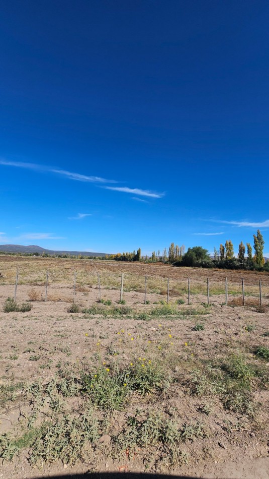 ¡OFERTA! VENDO 3 LOTES DE 970 m² - RAMA CAIDA, SAN RAFAEL Ejercito de Los Andes