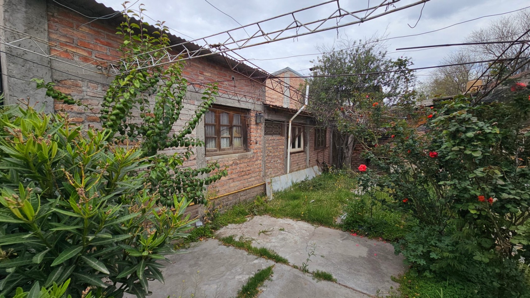 Sobre Av. Mitre Local+ Casa + depto+ patio. 436 m² San Rafael