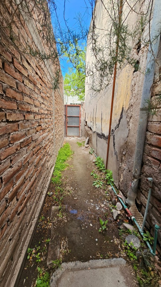 Mitre al 1300 Local y Galpon 300 m2 175 m2 cubiertos 