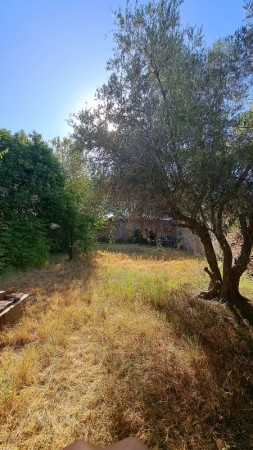 Vendo 3 locales, Galpon,  Garaje sobre Avenida Moreno con 427 m² terreno,  LOZA.  En San Rafael. 