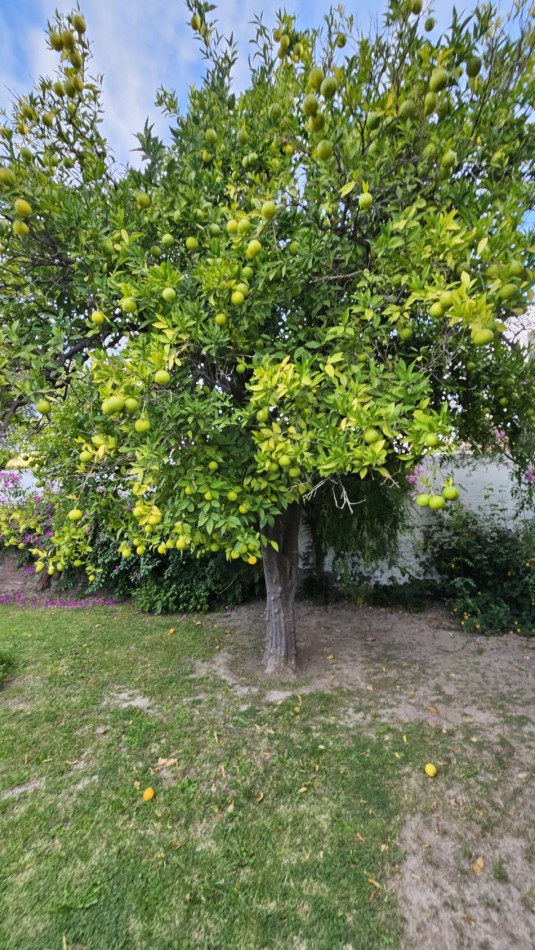 Casa + Depto apta credico Centrica y zona Poder Judicial 