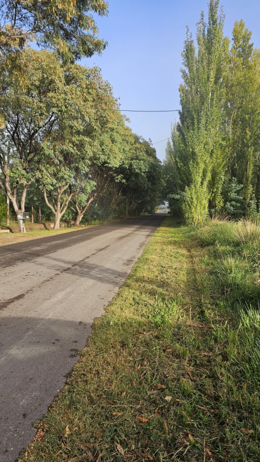 Vendo lote Amplio terreno en calle Costanzo San Rafael 2150 m²