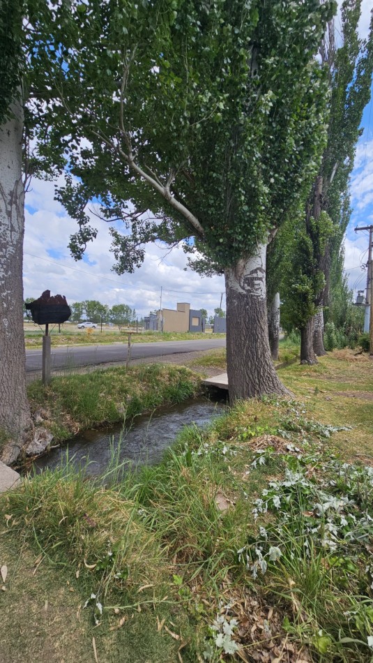 Lote en Venta sobre Av. Las Virgenes - 4.000 m² | Ubicacion Estrategica Se ofrece interesante lote ubicado sobre Av. Las Virgenes, en Las Paredes, San Rafael, Mendoza