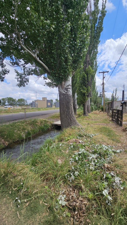 Lote en Venta sobre Av. Las Virgenes - 4.000 m² | Ubicacion Estrategica Se ofrece interesante lote ubicado sobre Av. Las Virgenes, en Las Paredes, San Rafael, Mendoza