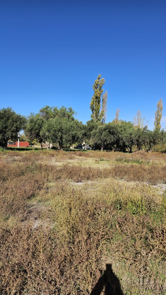 Vendo Lote 7400 m² con Avance pilastras, puente, pozo, olivos. Sonbre Ejercito de los Andes Rama Caida. Ejercito de los Andes. San Rafael. Mendoza 