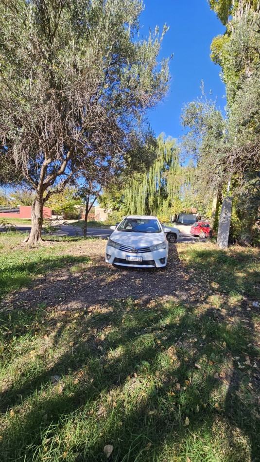 Vendo Lote 7400 m² con Avance pilastras, puente, pozo, olivos. Sonbre Ejercito de los Andes Rama Caida. Ejercito de los Andes. San Rafael. Mendoza 