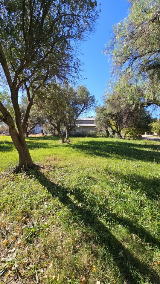 Vendo Lote 7400 m² con Avance pilastras, puente, pozo, olivos. Sonbre Ejercito de los Andes Rama Caida. Ejercito de los Andes. San Rafael. Mendoza 