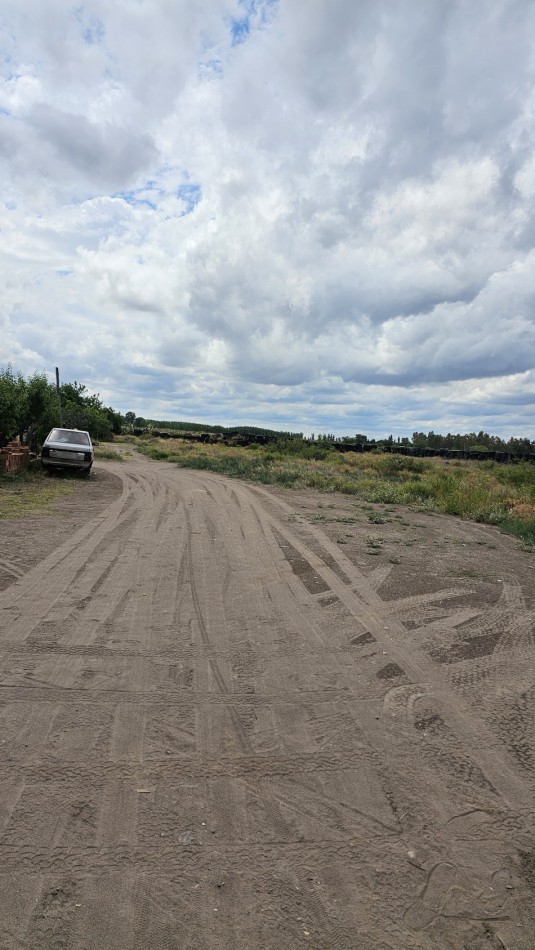 Lote en Venta sobre Av. Las Virgenes - 4.000 m² U$S 65.000 permuto. Ubicacion Estrategica Se ofrece interesante lote ubicado sobre Av. Las Virgenes, en Las Paredes, San Rafael, Mendoza