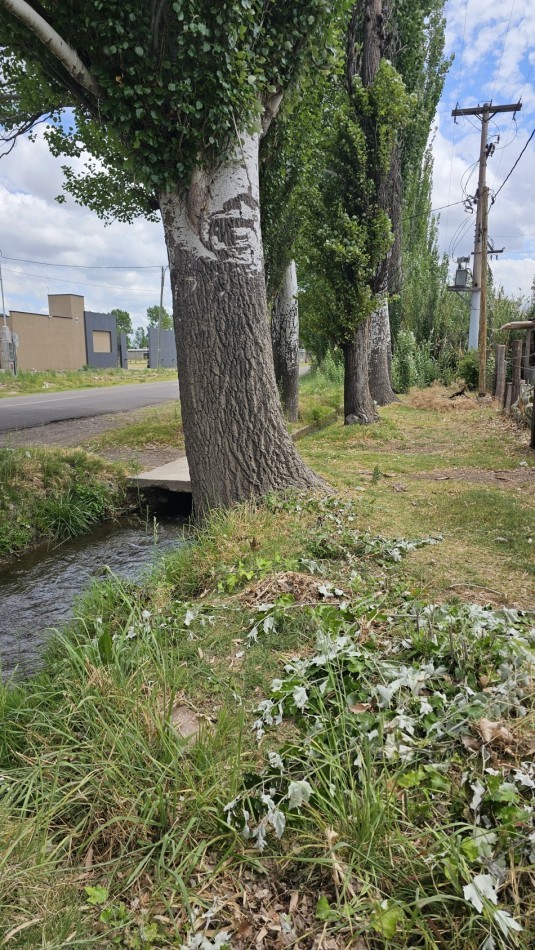 Lote en Venta sobre Av. Las Virgenes - 4.000 m² U$S 65.000 permuto. Ubicacion Estrategica Se ofrece interesante lote ubicado sobre Av. Las Virgenes, en Las Paredes, San Rafael, Mendoza