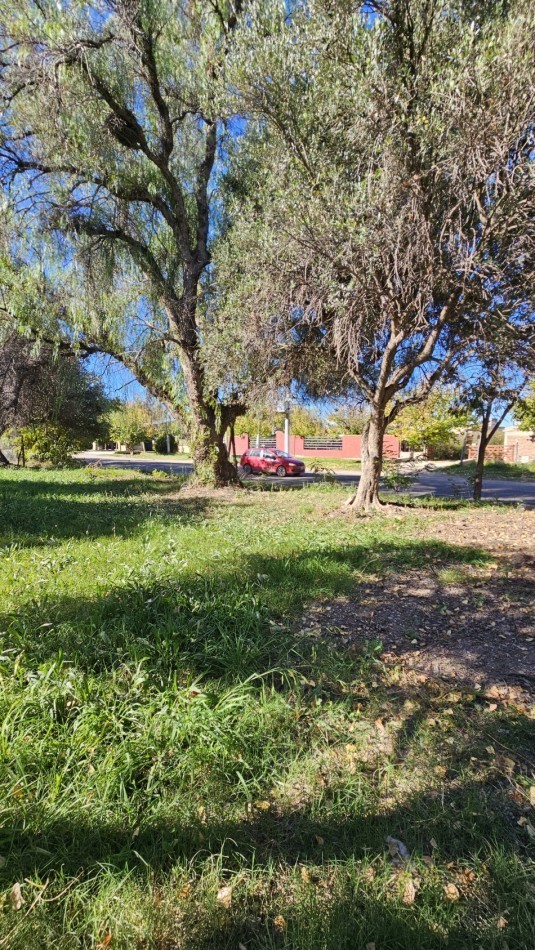 Vendo Lote 7400 m² con Avance pilastras con luz, puente, pozo, olivos. Sobre Ejercito de los Andes Rama Caida. Ejercito de los Andes. San Rafael. Mendoza 