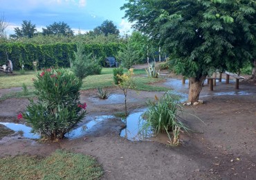 Vendo Finca o Chacra de 25 Has con Casa en Jaime Prats - Ideal Produccion, Turismo o Inversion. San Rafael. Mendoza 